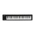 Korg microKEY 49 mk II
