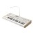 Korg microKORG S
