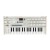 Korg microKORG S