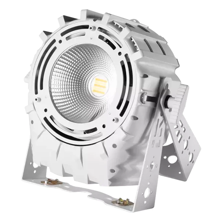 Flash PAR64 LED P250 WW 22/5200K WHITE - reflektor LED