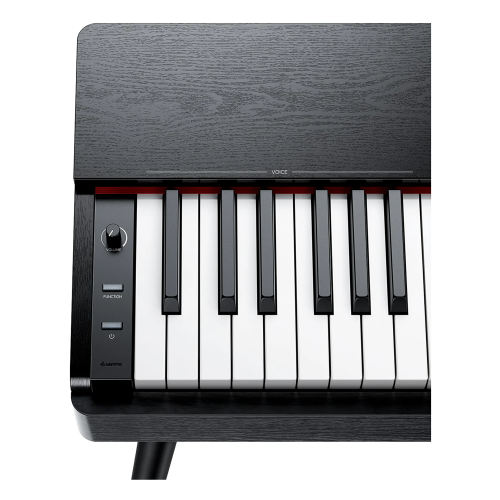 Donner OURA S100 - pianino cyfrowe