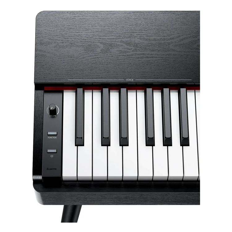 Donner OURA S100 - pianino cyfrowe
