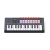 Novation FLkey 2 Mini 25 - klawiatura