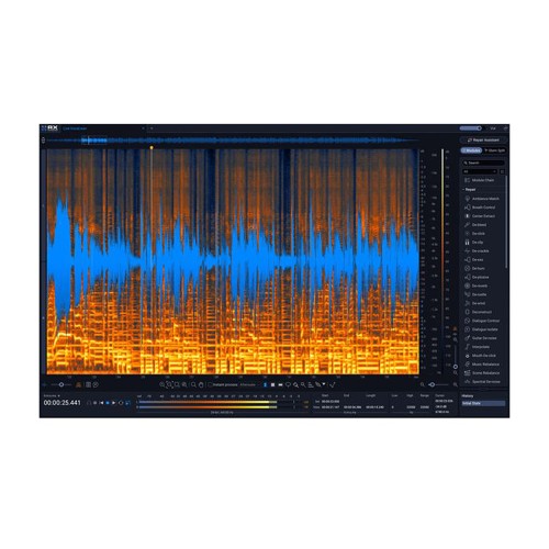 iZotope RX 12 Standard – naprawa audio
