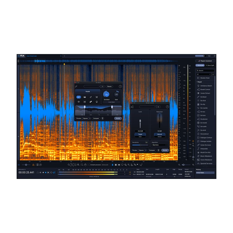 iZotope RX 12 Standard