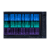 iZotope RX 12 Standard