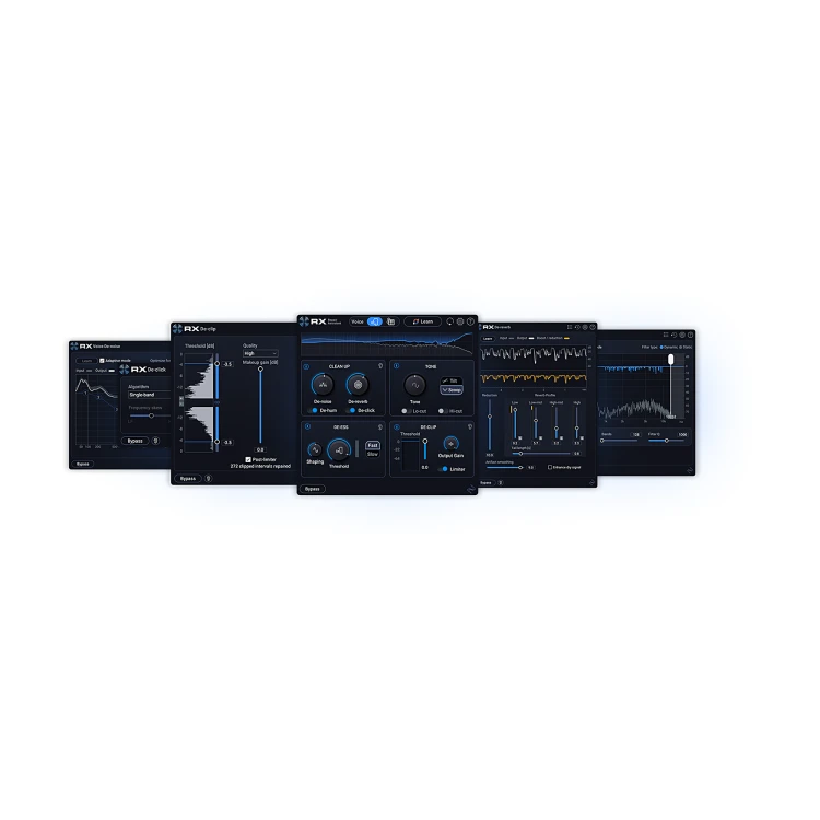 iZotope RX 12 Elements