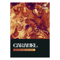 UJAM USynth Caramel